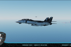 F-14B Tomcat - Formation flight