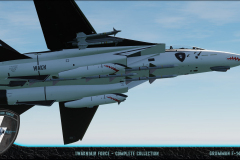 F-14B Tomcat - under up