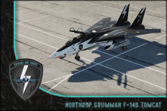 F-14B Titelbild